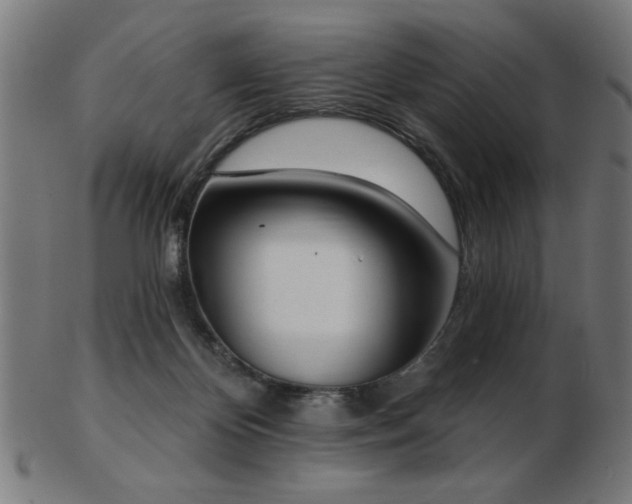 X0000103470124200809121636