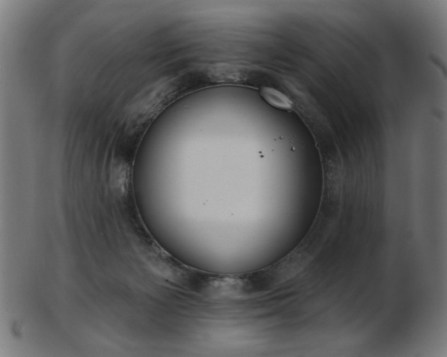 X0000103470125200809121636