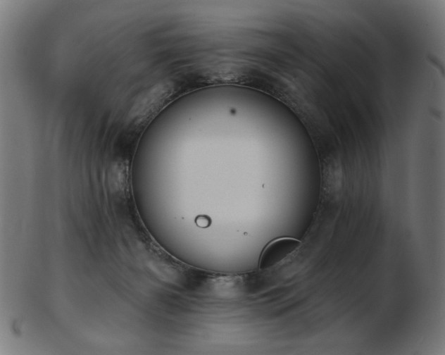 X0000103470126200809121636