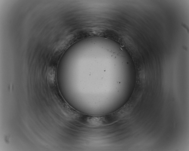 X0000103470129200809121636