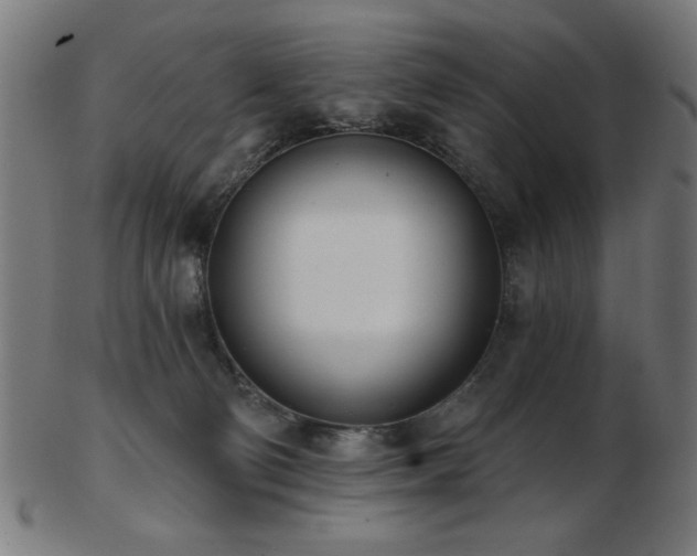 X0000103470130200809121636