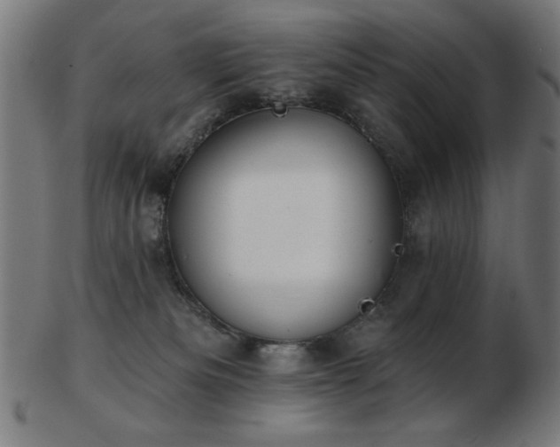 X0000103470133200809121636