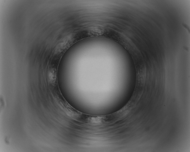 X0000103470134200809121636