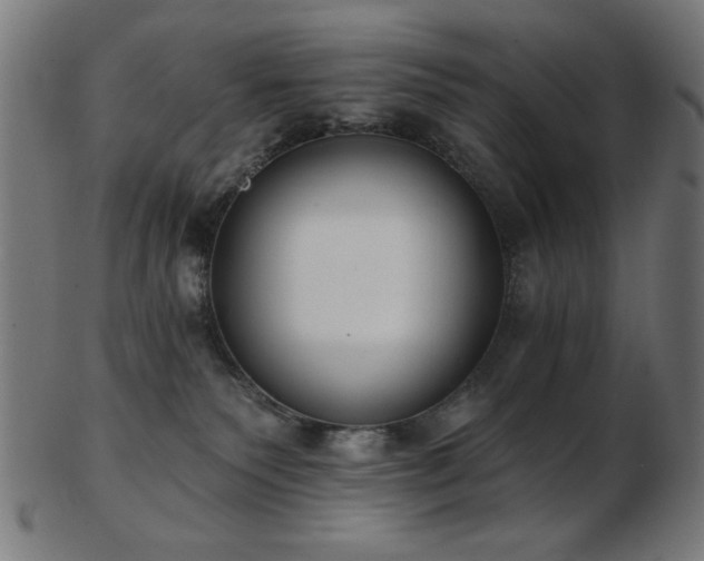 X0000103470135200809121636