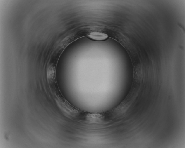 X0000103470137200809121636