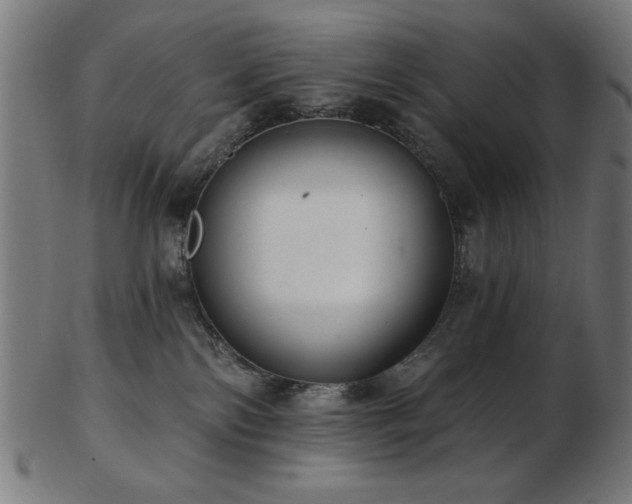 X0000103470138200809121636