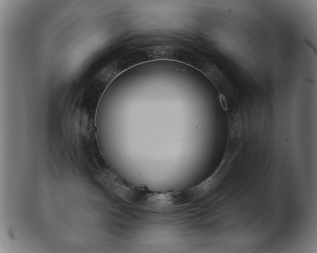 X0000103470140200809121636