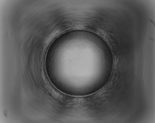 X0000103470145200809121635