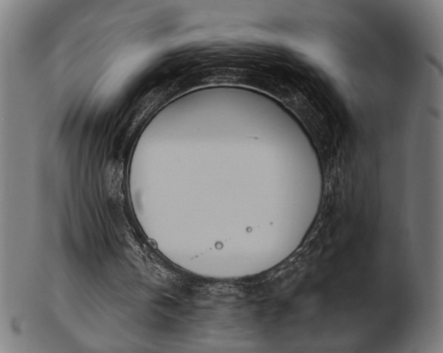 X0000103470146200809121635