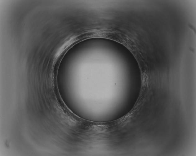 X0000103470150200809121635