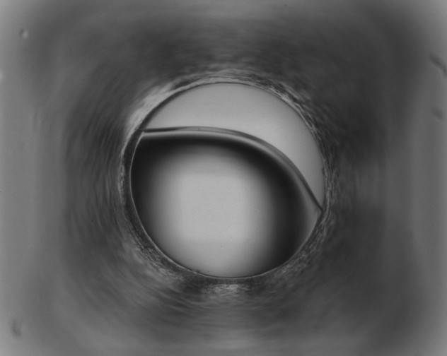 X0000103470152200809121635