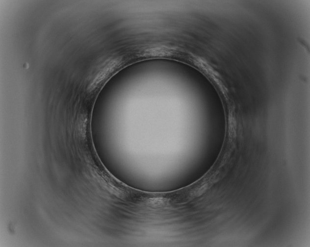 X0000103470153200809121635