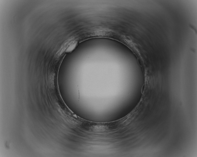 X0000103470154200809121635