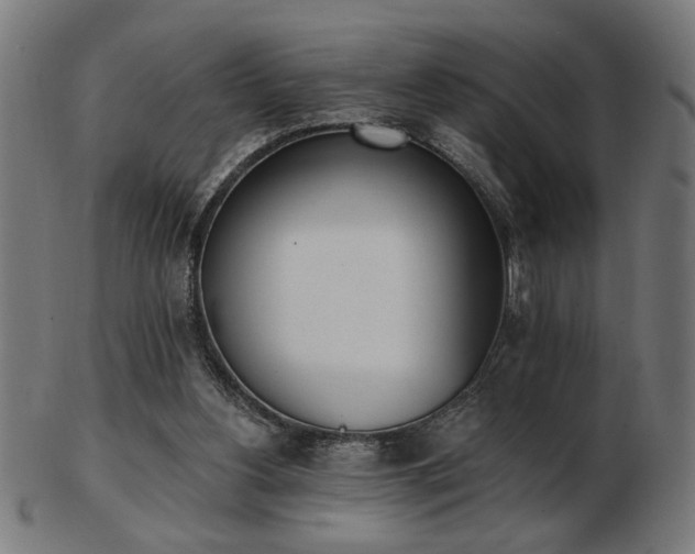 X0000103470156200809121635