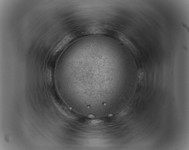 X0000103470158200809121635