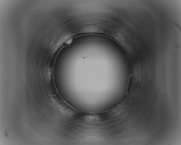 X0000103470160200809121636