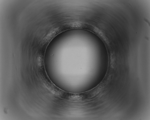 X0000103470161200809121636