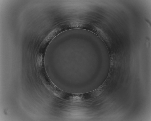 X0000103470163200809121636