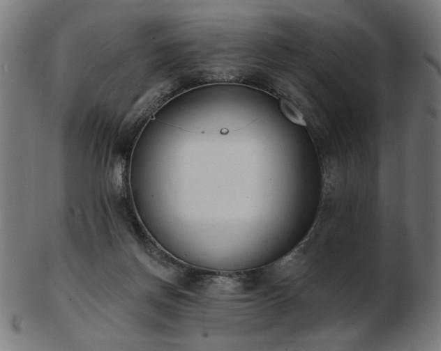 X0000103470166200809121636