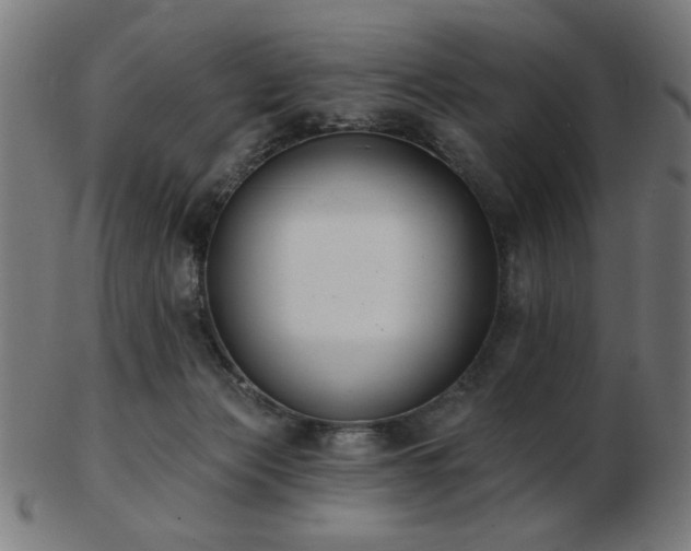 X0000103470173200809121636