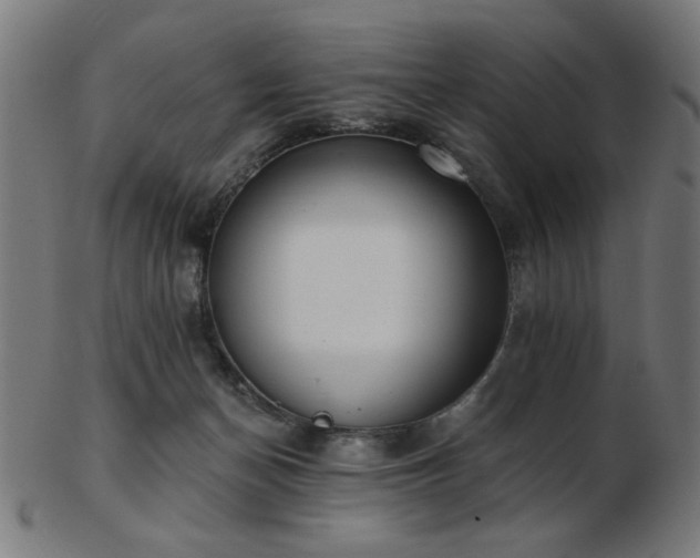 X0000103470174200809121636