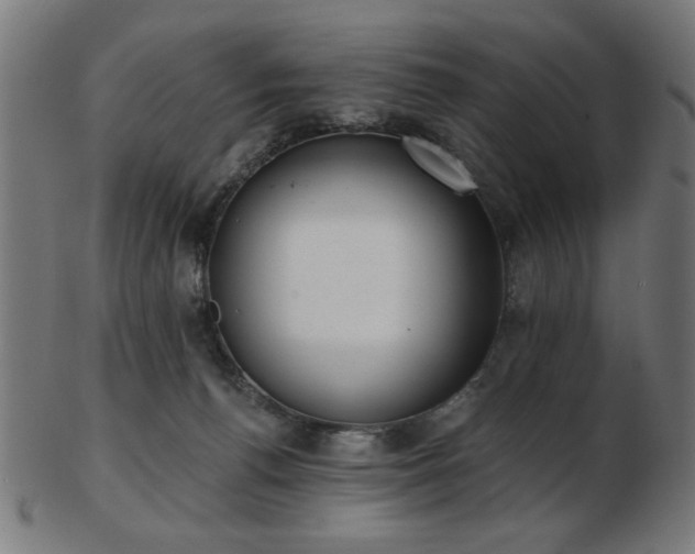 X0000103470176200809121636