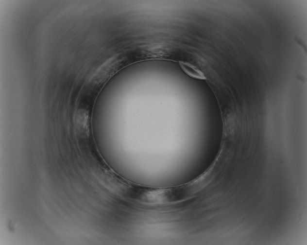 X0000103470178200809121636