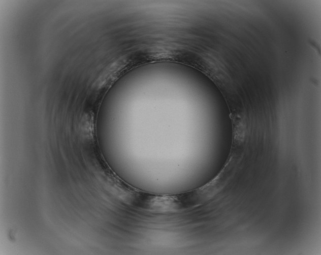 X0000103470179200809121636