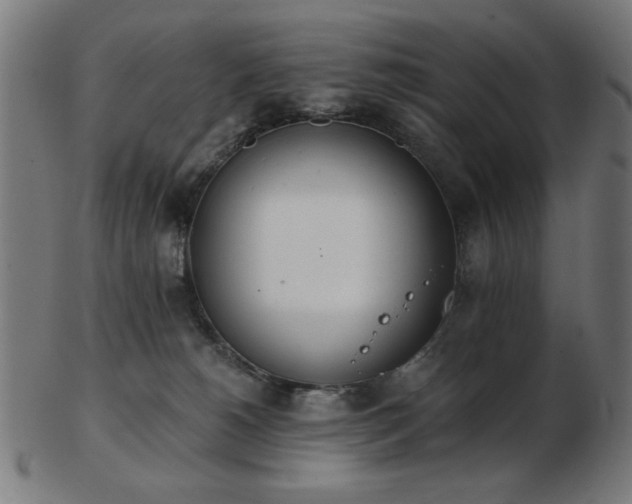 X0000103470180200809121636