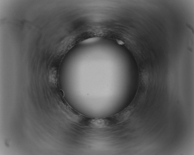 X0000103470181200809121636