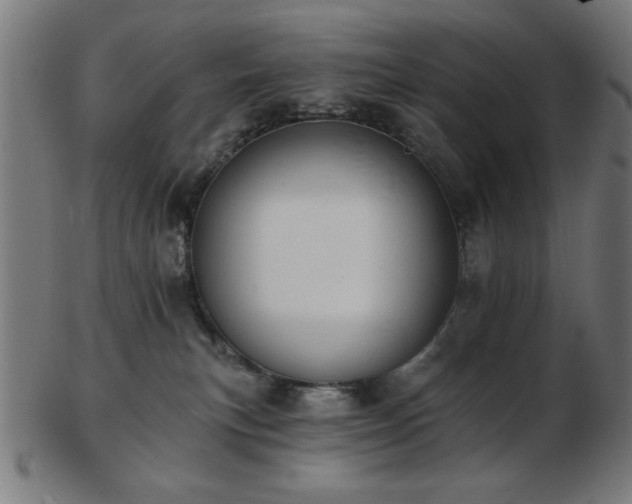 X0000103470183200809121636