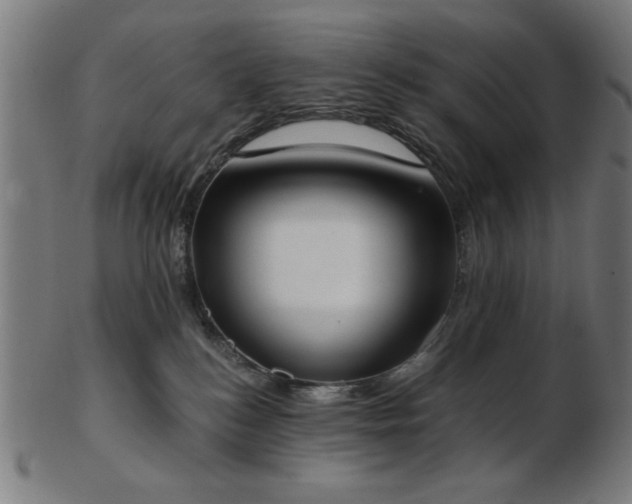 X0000103470184200809121636