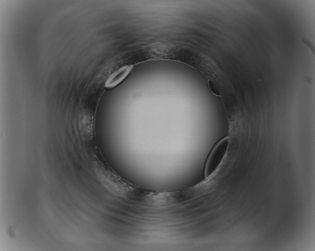 X0000103470186200809121636