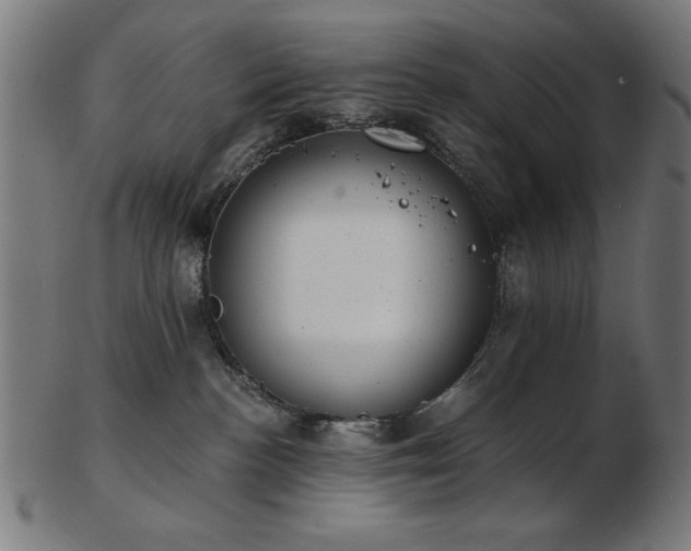 X0000103470188200809121636