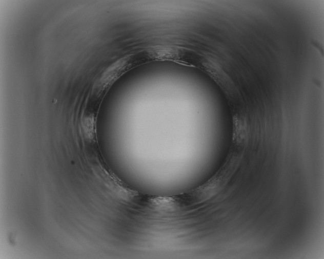 X0000103470189200809121636