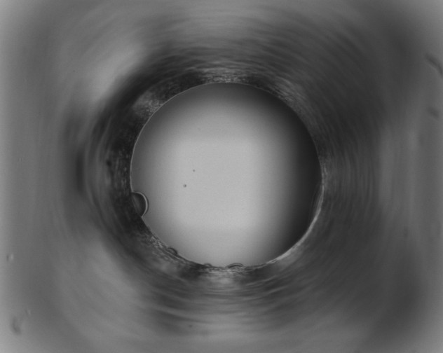 X0000103470190200809121636