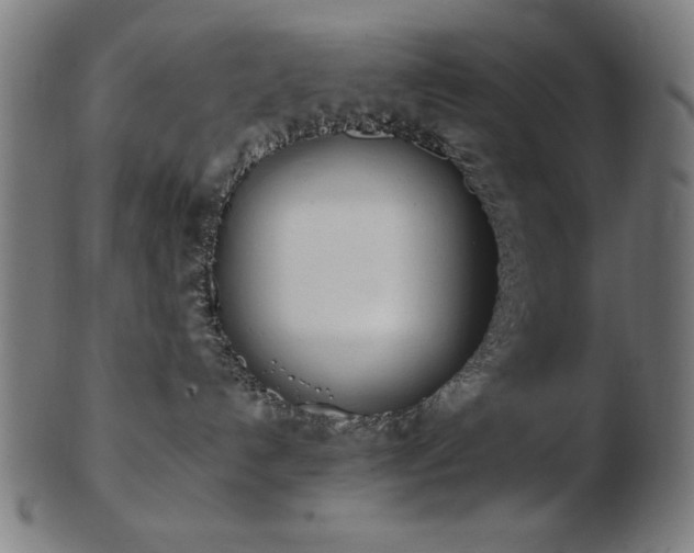 X0000103470192200809121636