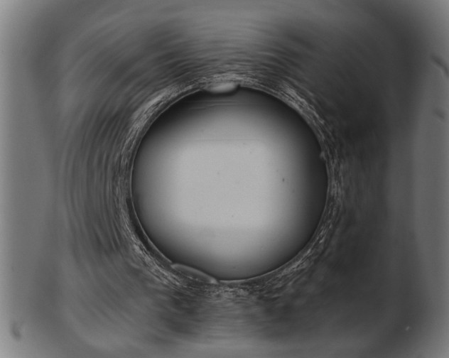 X0000103470193200809121635