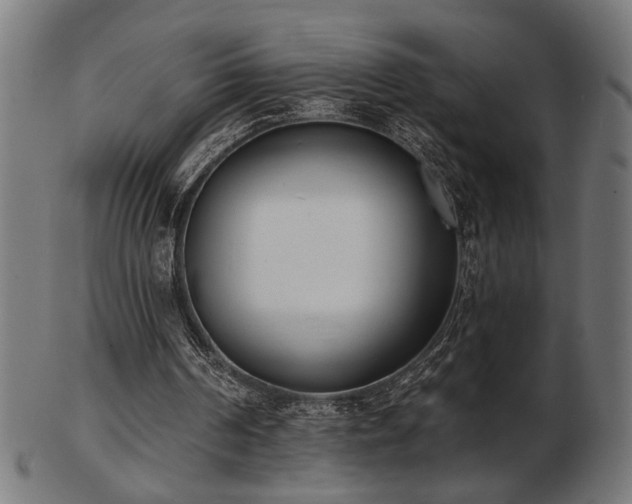 X0000103470194200809121635