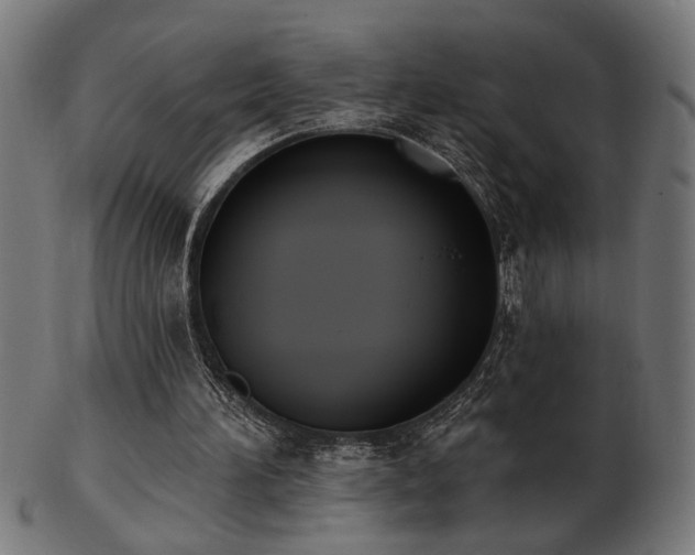 X0000103470196200809121635