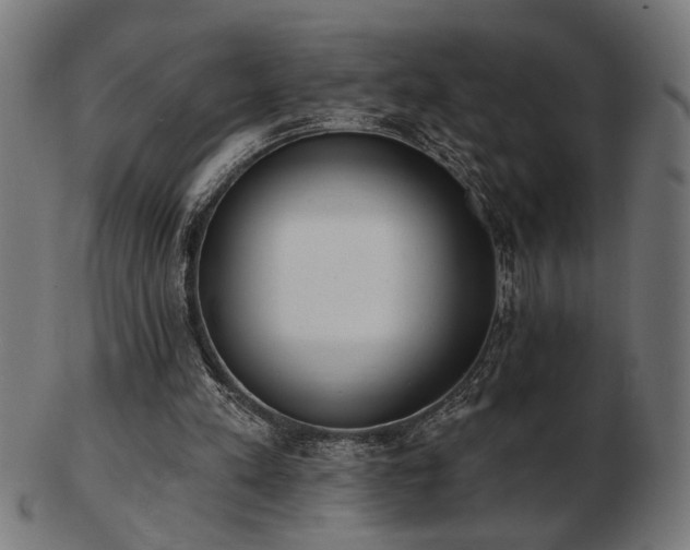 X0000103470197200809121635