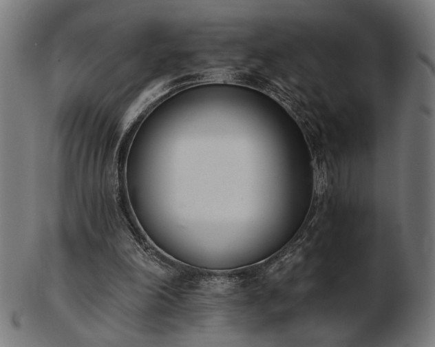 X0000103470198200809121635