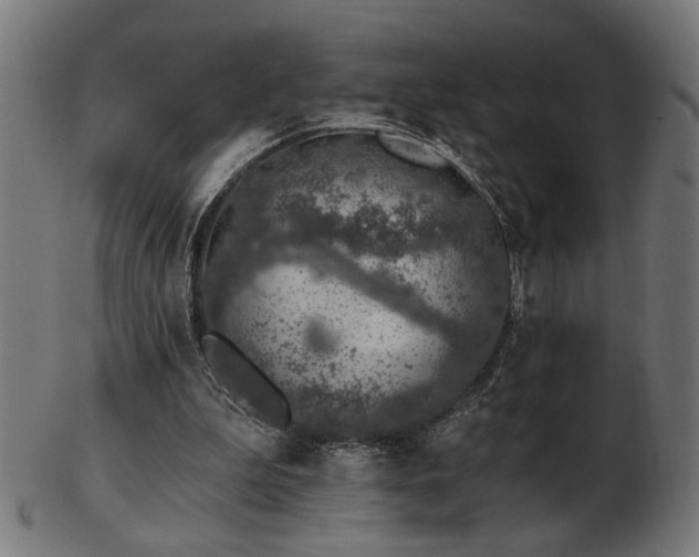 X0000103470199200809121635