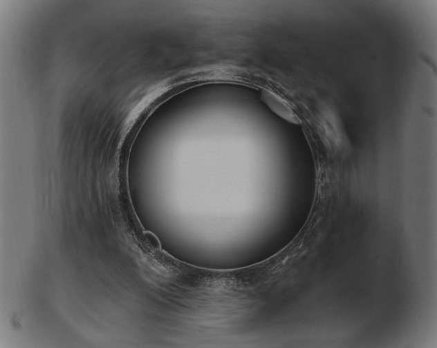 X0000103470200200809121635