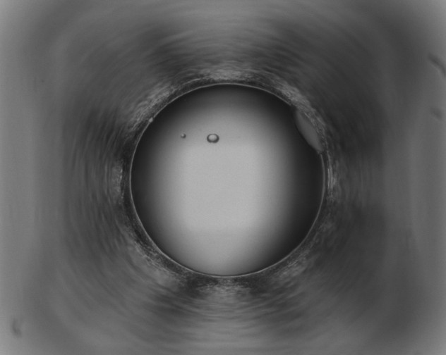 X0000103470201200809121635