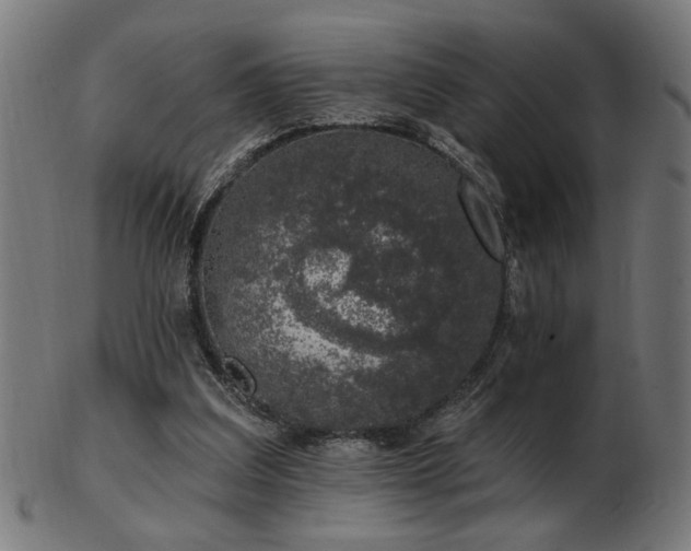 X0000103470203200809121635