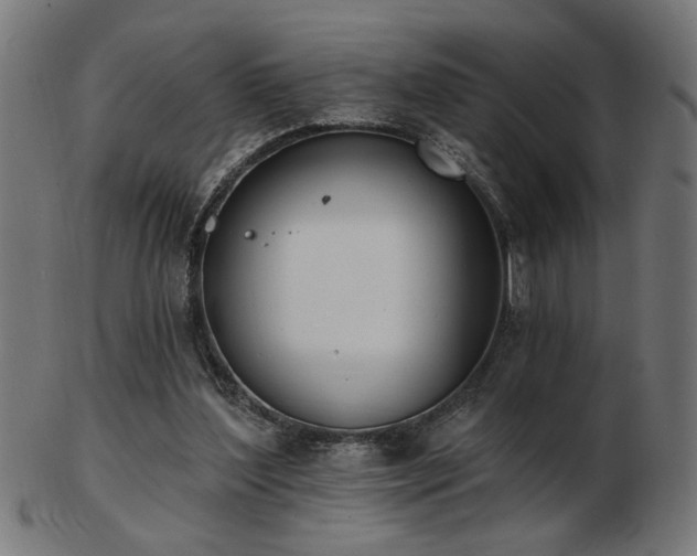 X0000103470204200809121635