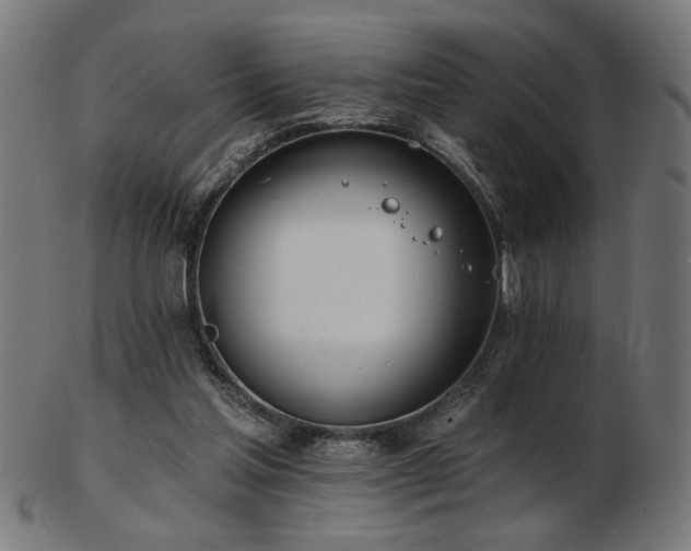 X0000103470205200809121635