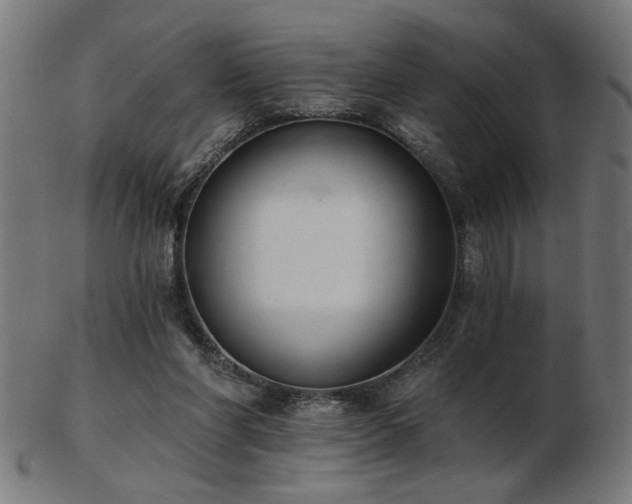 X0000103470206200809121635