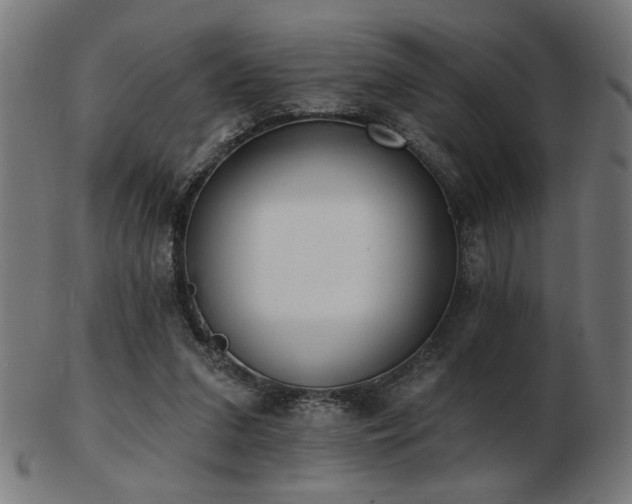 X0000103470207200809121635